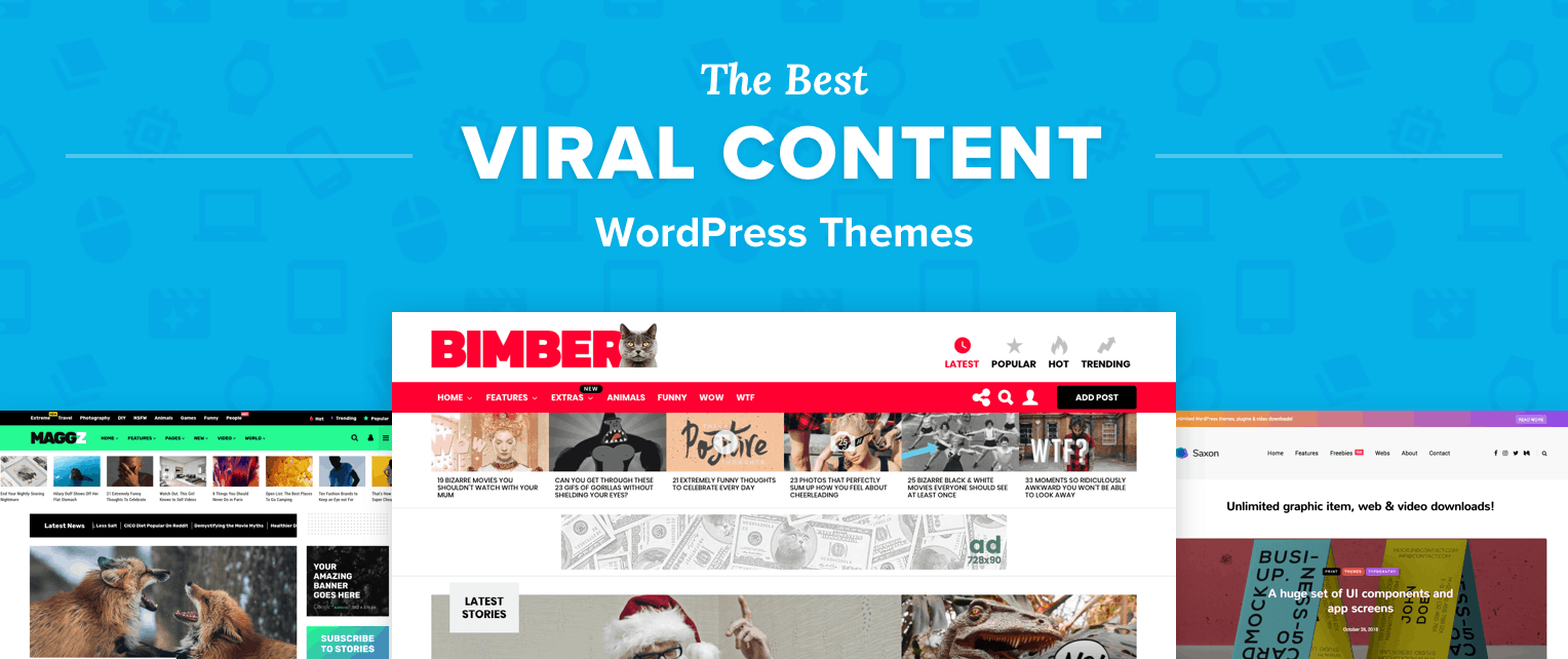 Best Viral WordPress Themes