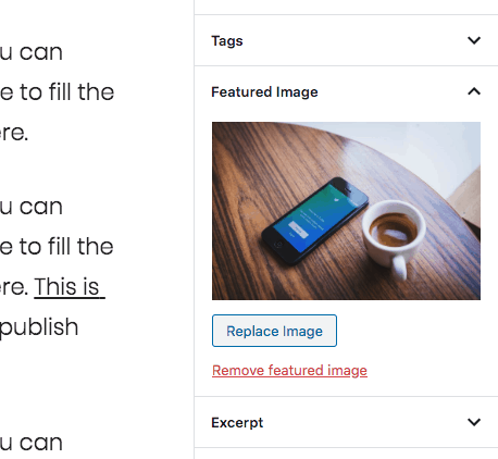 Featured Image Option