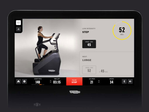 Technogym Artis Climb