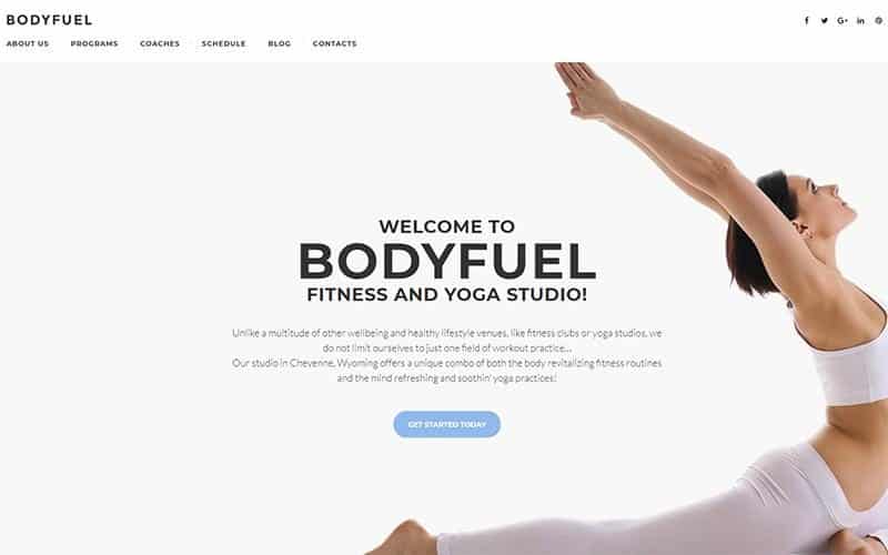 BodyFuel theme