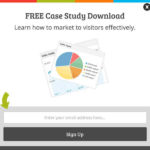 Case Study mobile optin