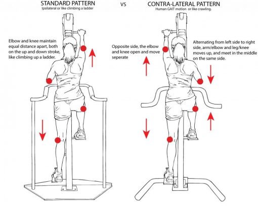 Versaclimber Home