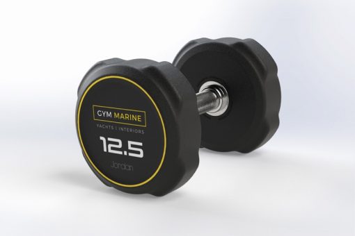 stainless steel dumbbells