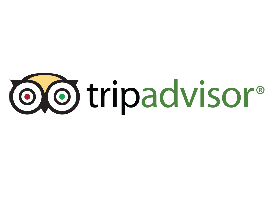 Trip Advisor Logo