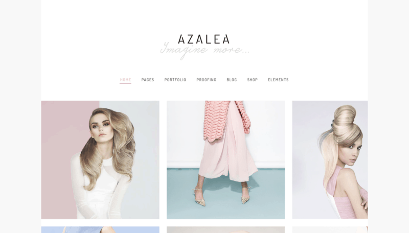 Azalea gallery theme