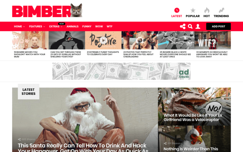 Bimber viral theme