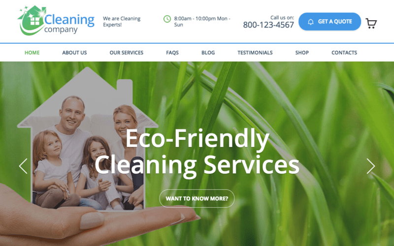 Cleaning Services