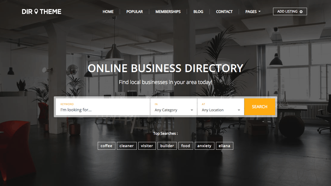 Directory Theme Demo