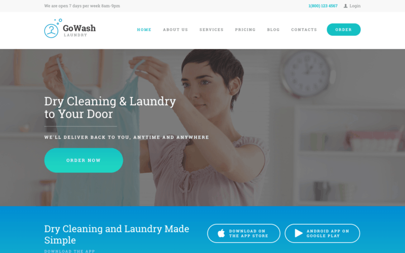 GoWash theme