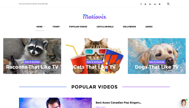 Motiovix video streaming theme