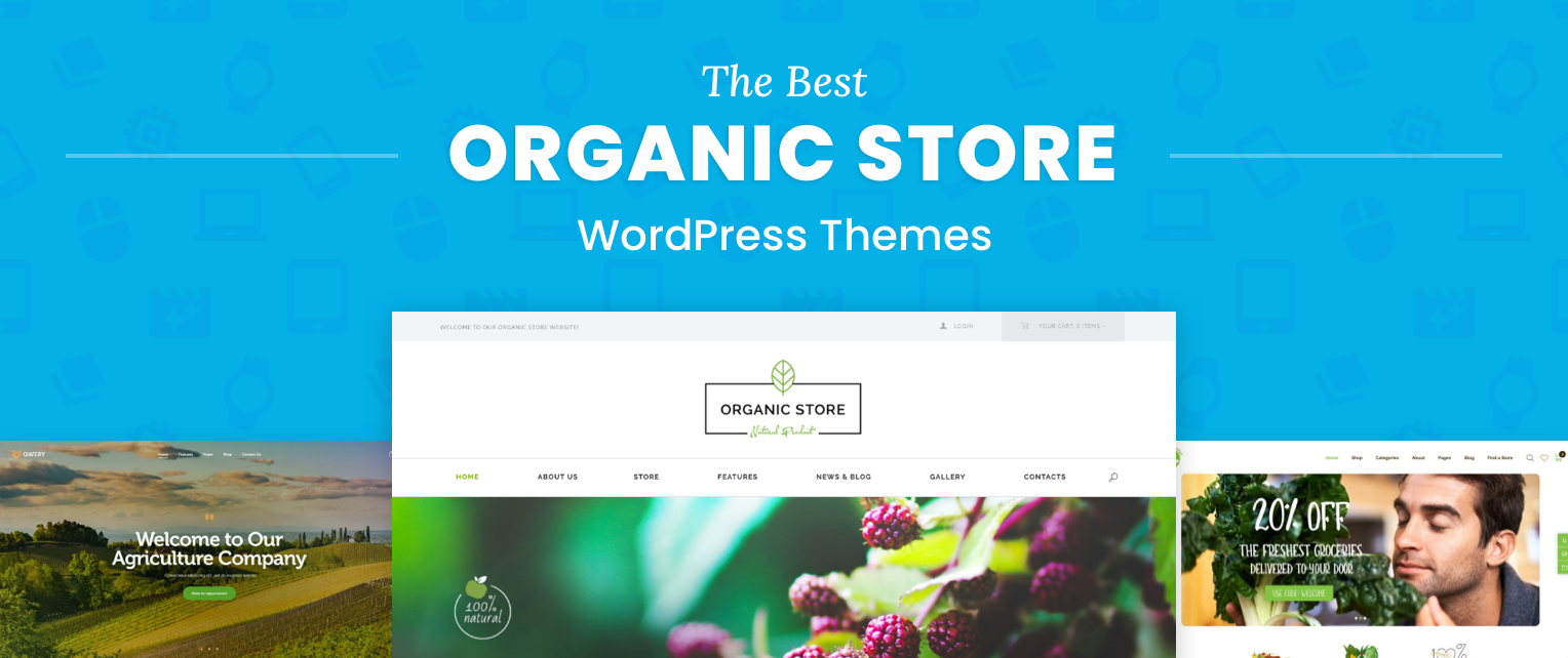 Organic Store WordPress Themes