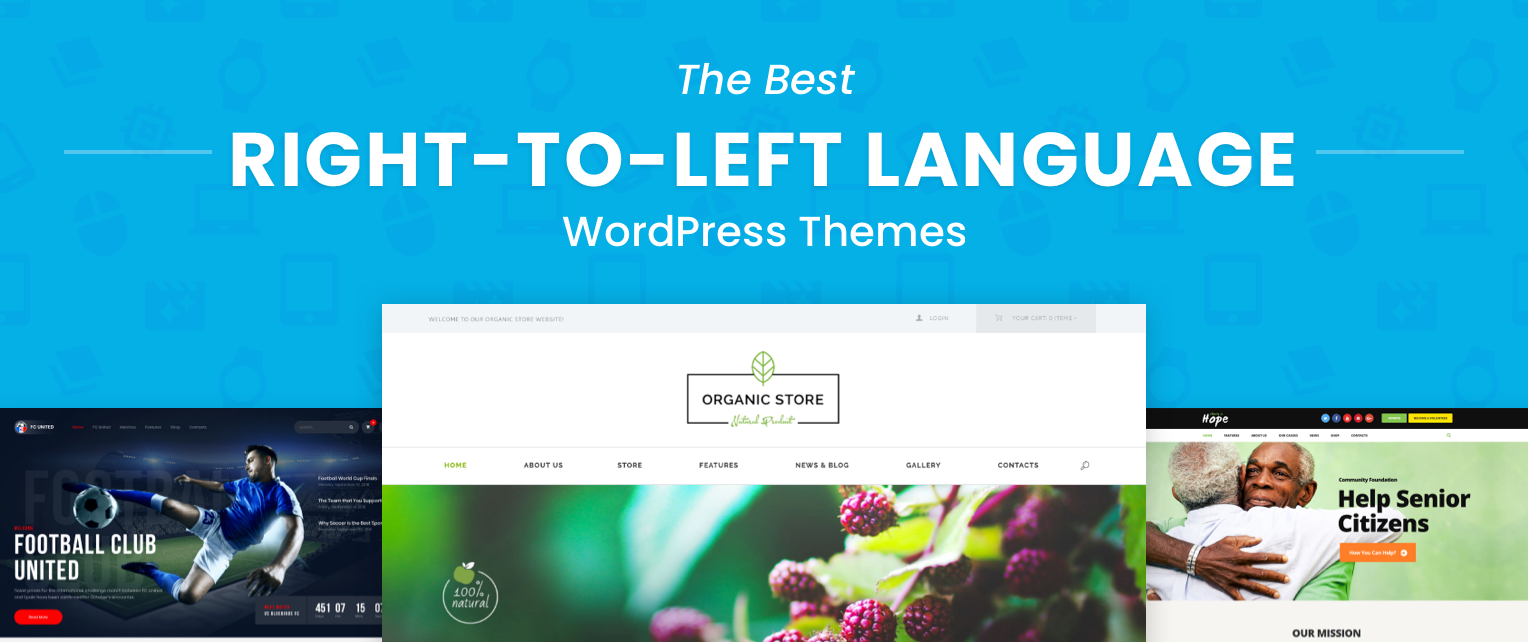 RTL WordPress Themes