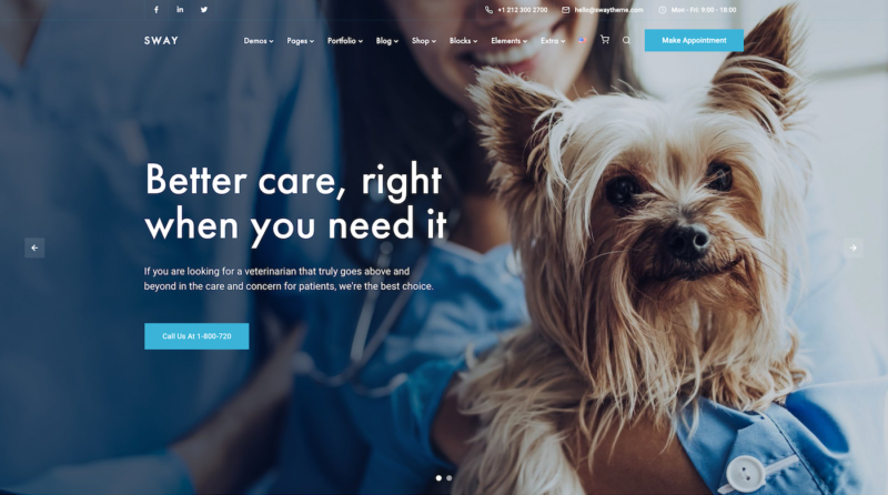 Sway veterinary template