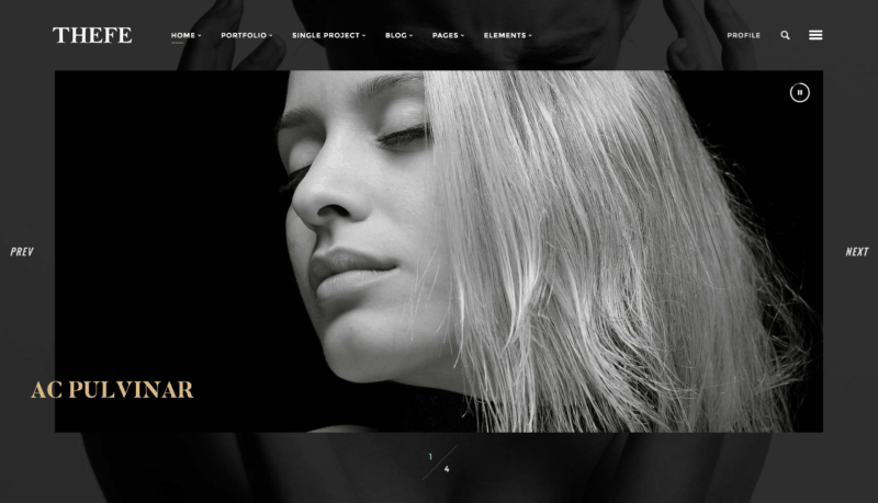 Thefe portfolio WordPress theme