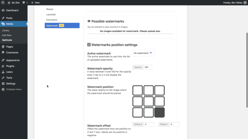 Watermark Settings